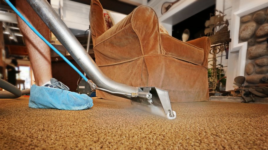 What to Know About Using a Carpet Steam Cleaner Angi [Angie's List]